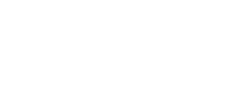 Fusion entre Tecnologia y Proyectos